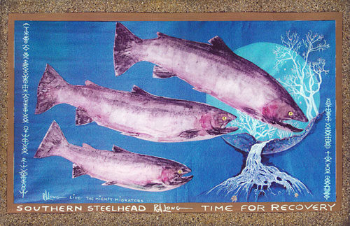 Southern Steelhead - Time for Recovery by R. A. Long (click for enlargement)