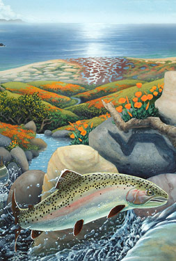 Steelhead painting by Ben Lovejoy